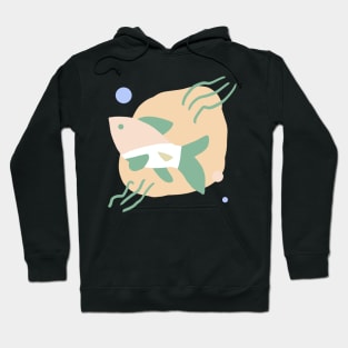 Pastel abstract fish Hoodie